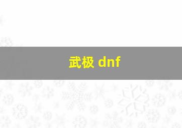 武极 dnf